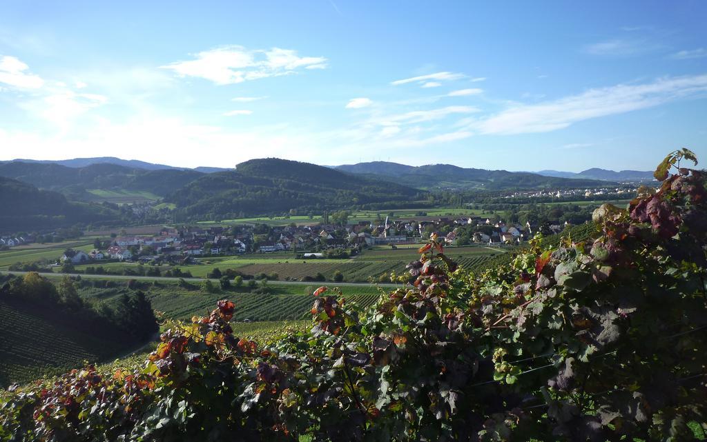 Hotel & Gasthaus Loewen Waldkirch Esterno foto